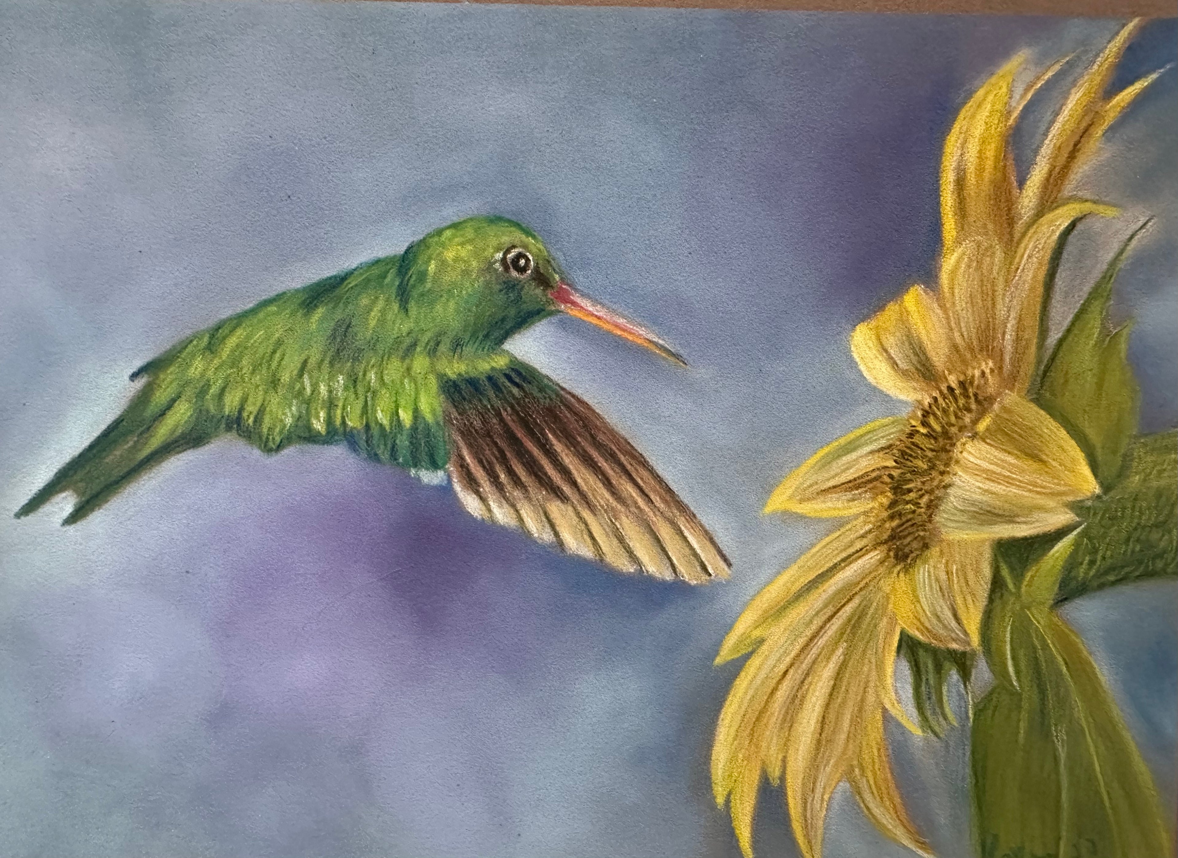 Hummingbird