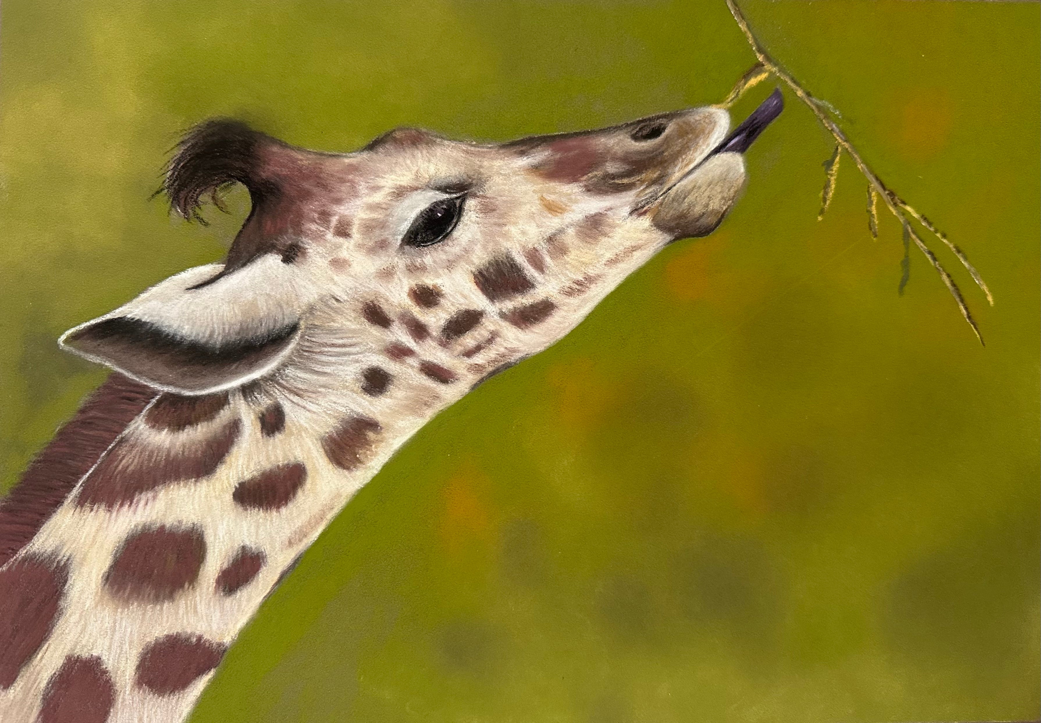 Giraffe