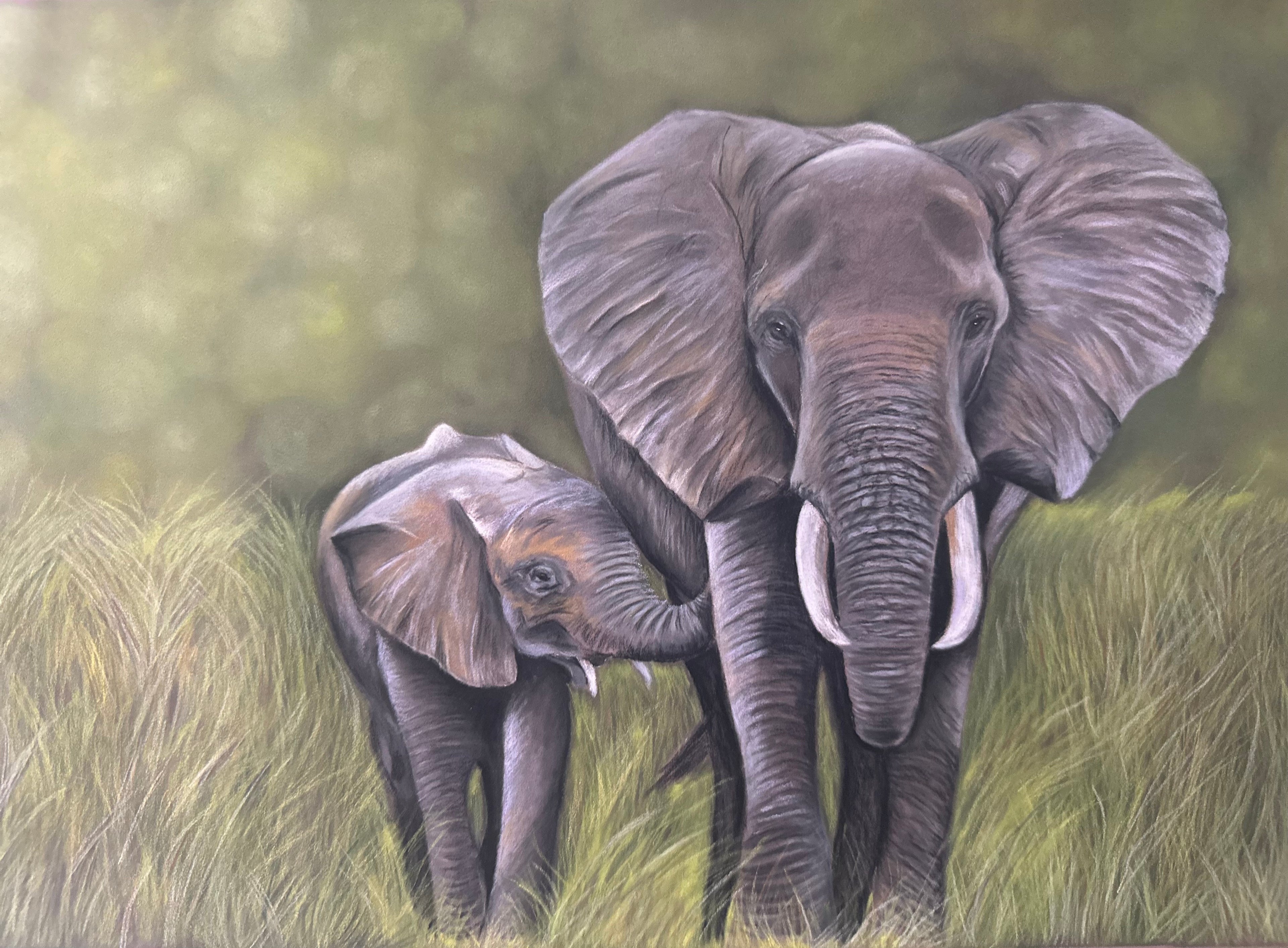 Elephants