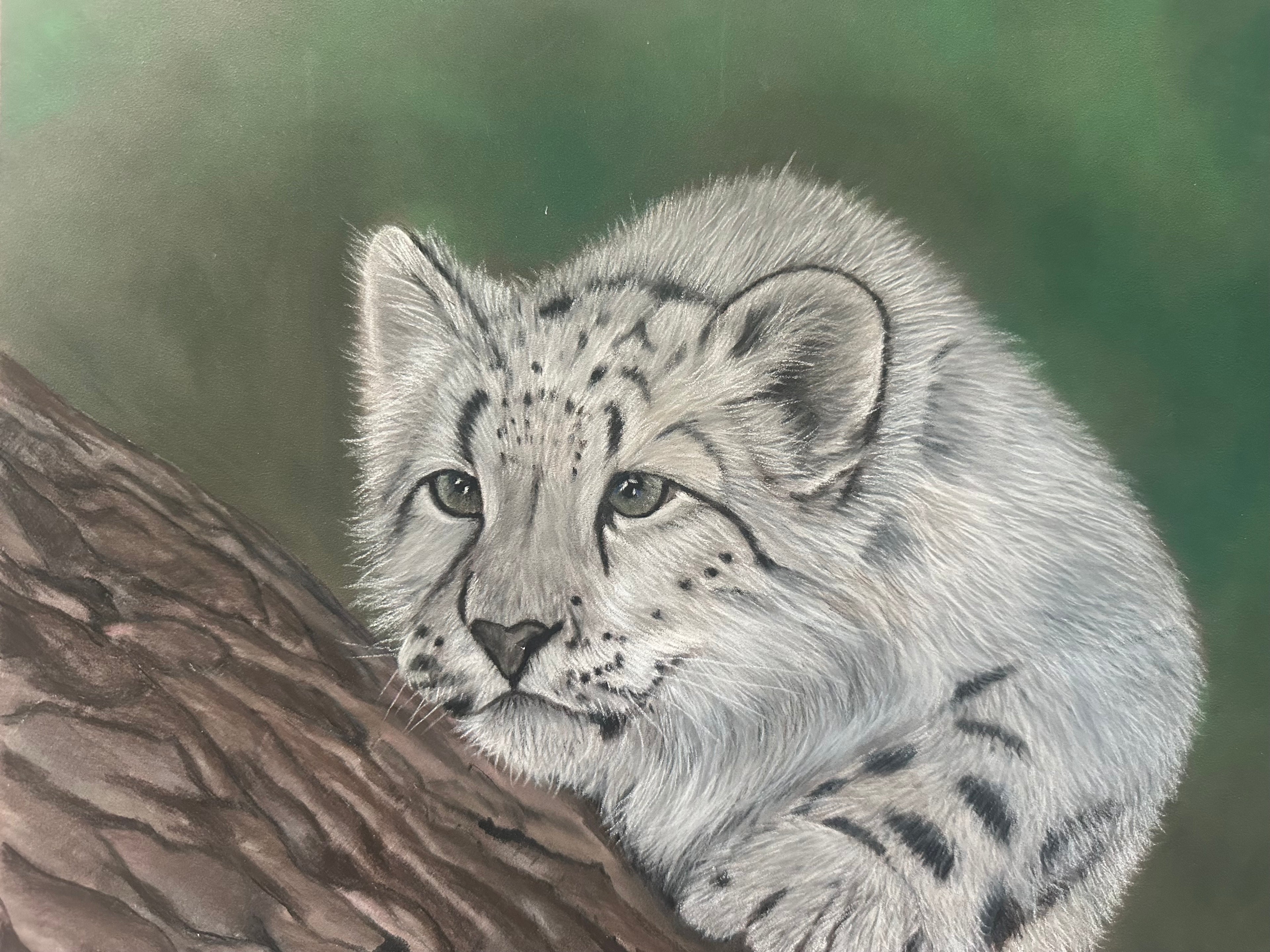 Snow leopard