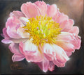 Sweet peony