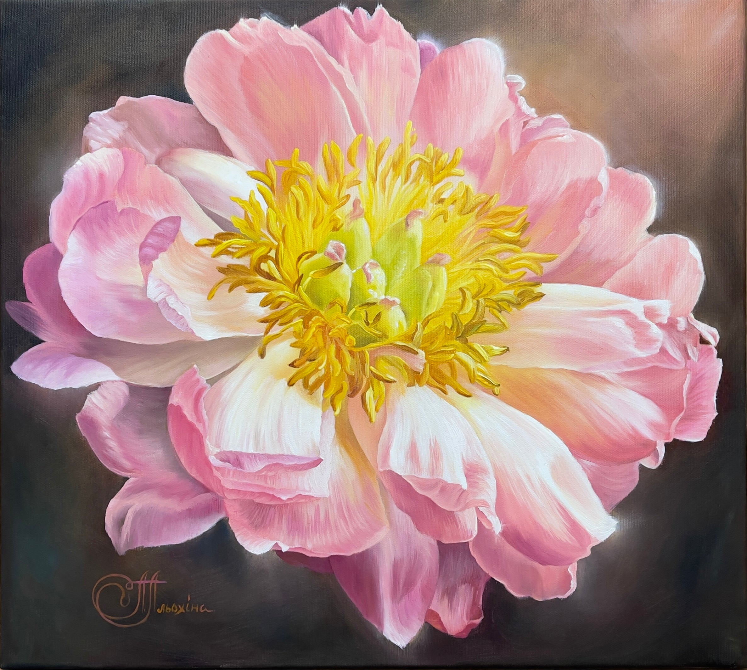 Sweet peony