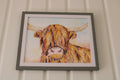 Cow in view