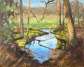 Spring in the New Forest
