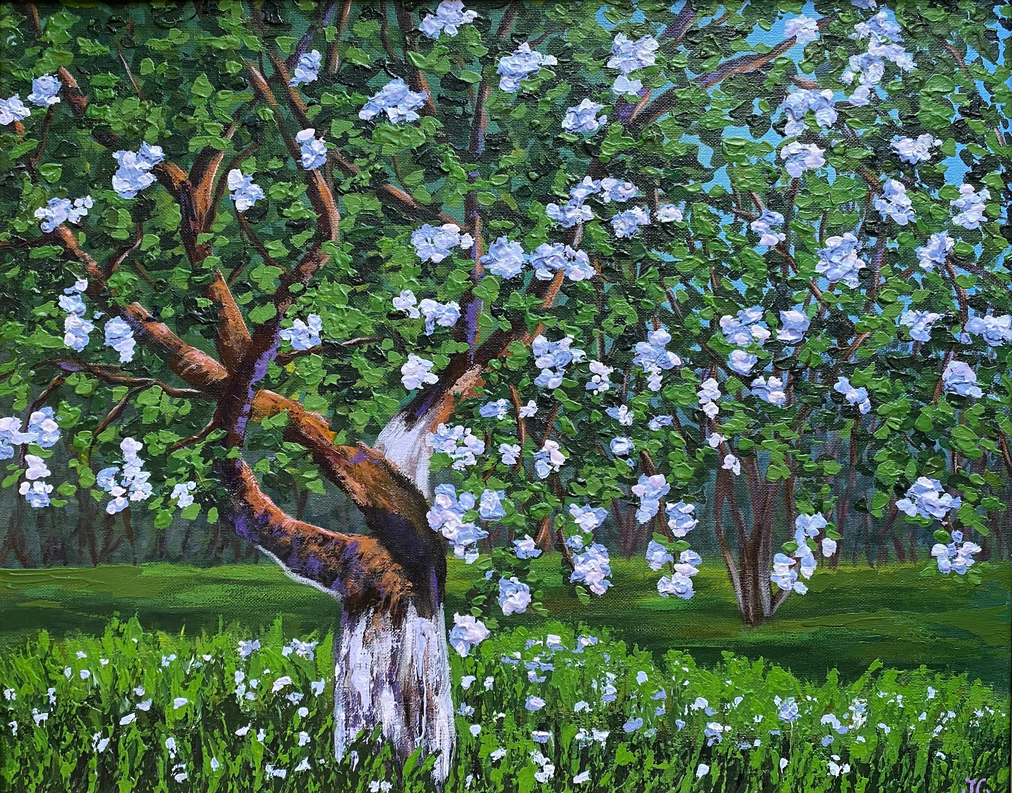 Blossoming Apple Tree
