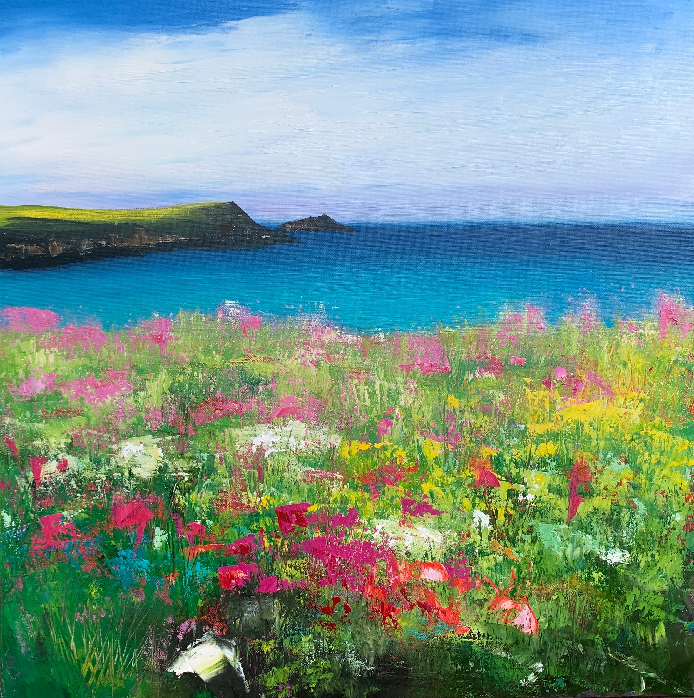 Wild Flowers at Polly Joke II
