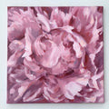Peony Petals