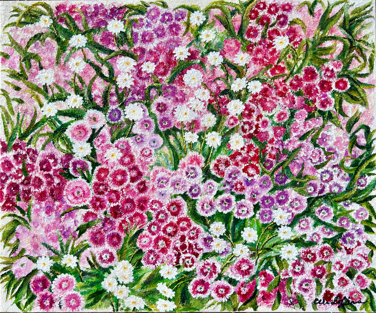 Sweet William multi floral by Elena Ciobanica