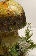 Magic Mushroom I
