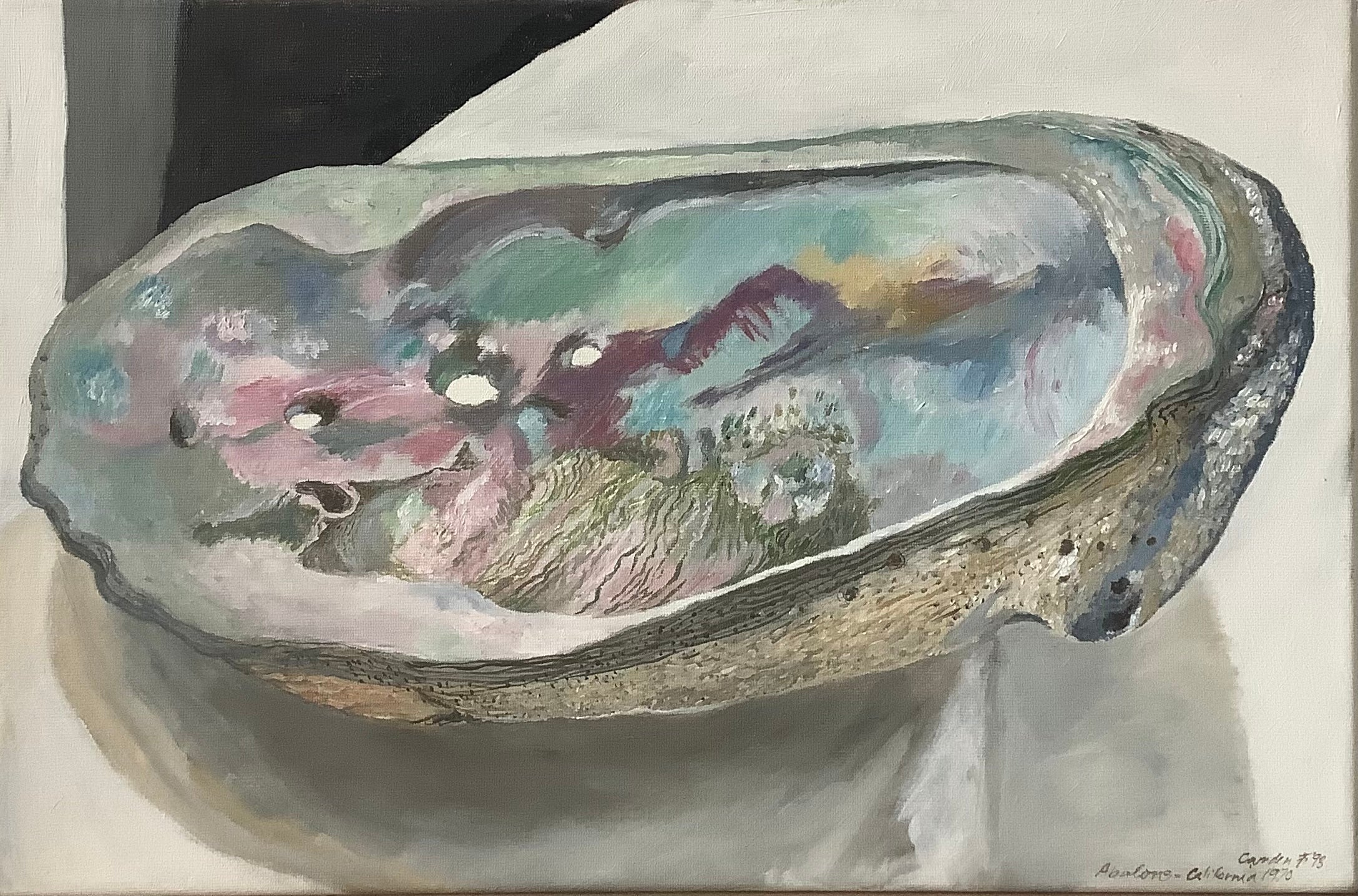 Abalone Shell