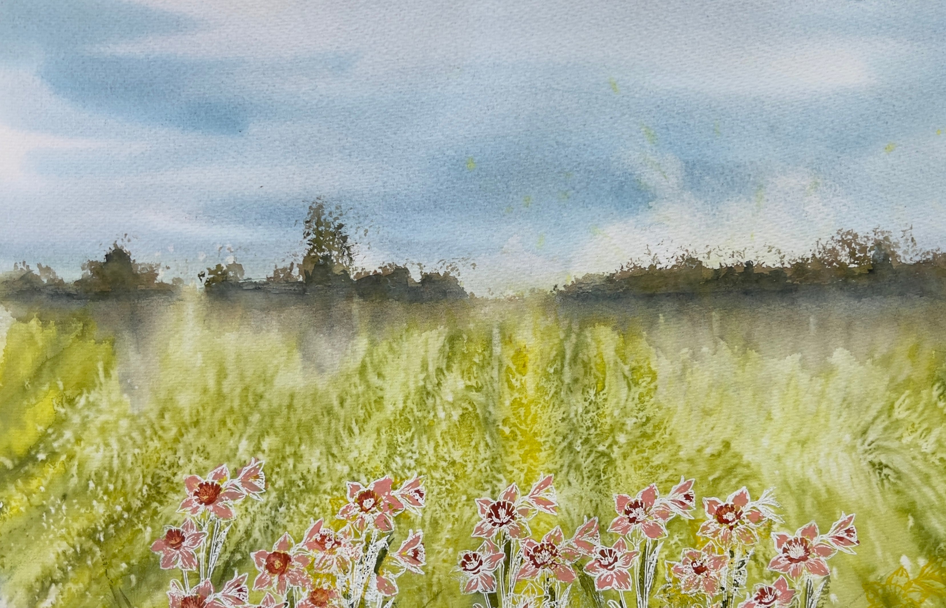 Wild Daffodils