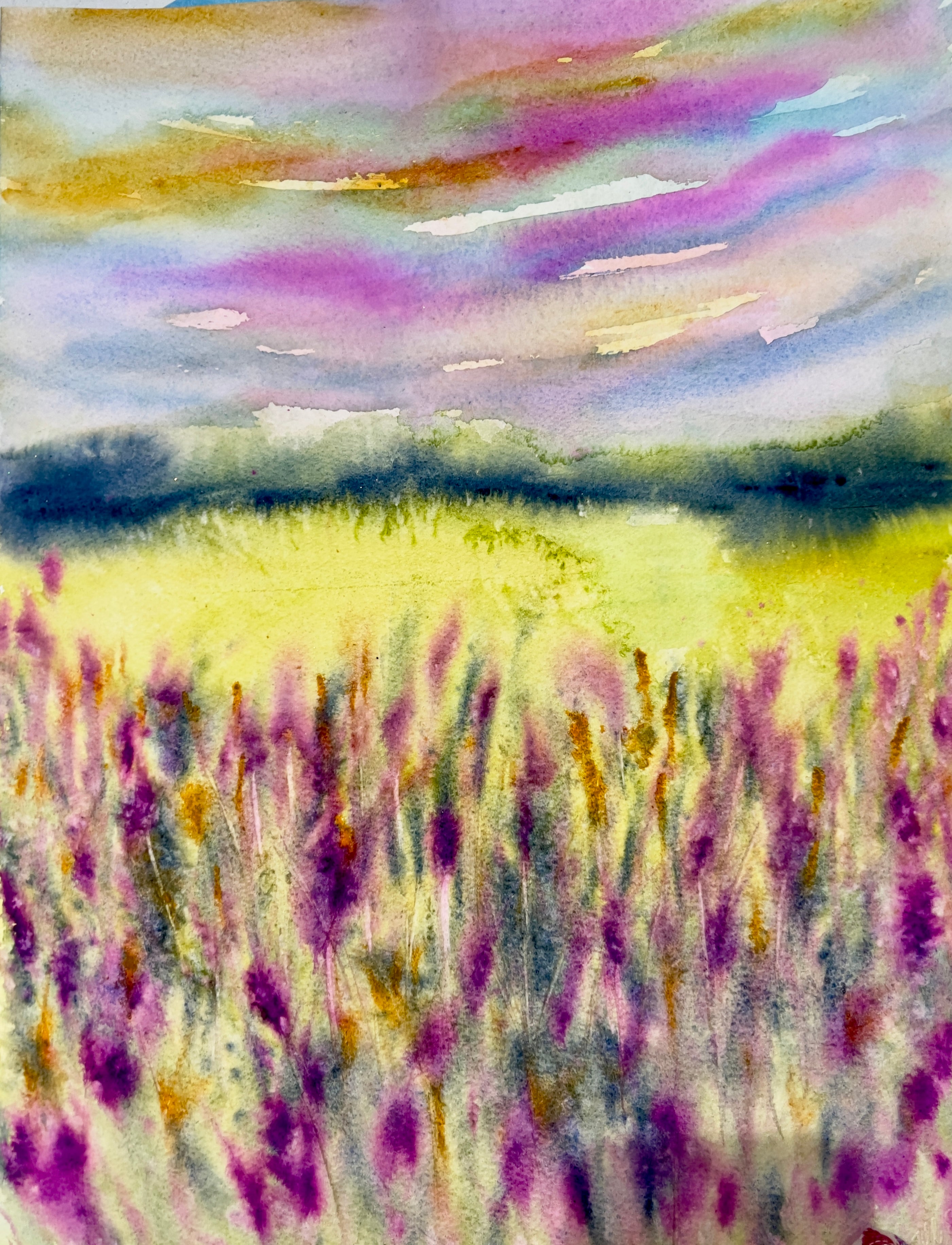 Vivid Sky