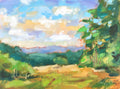 Late Afternoon, New Forest Landscape