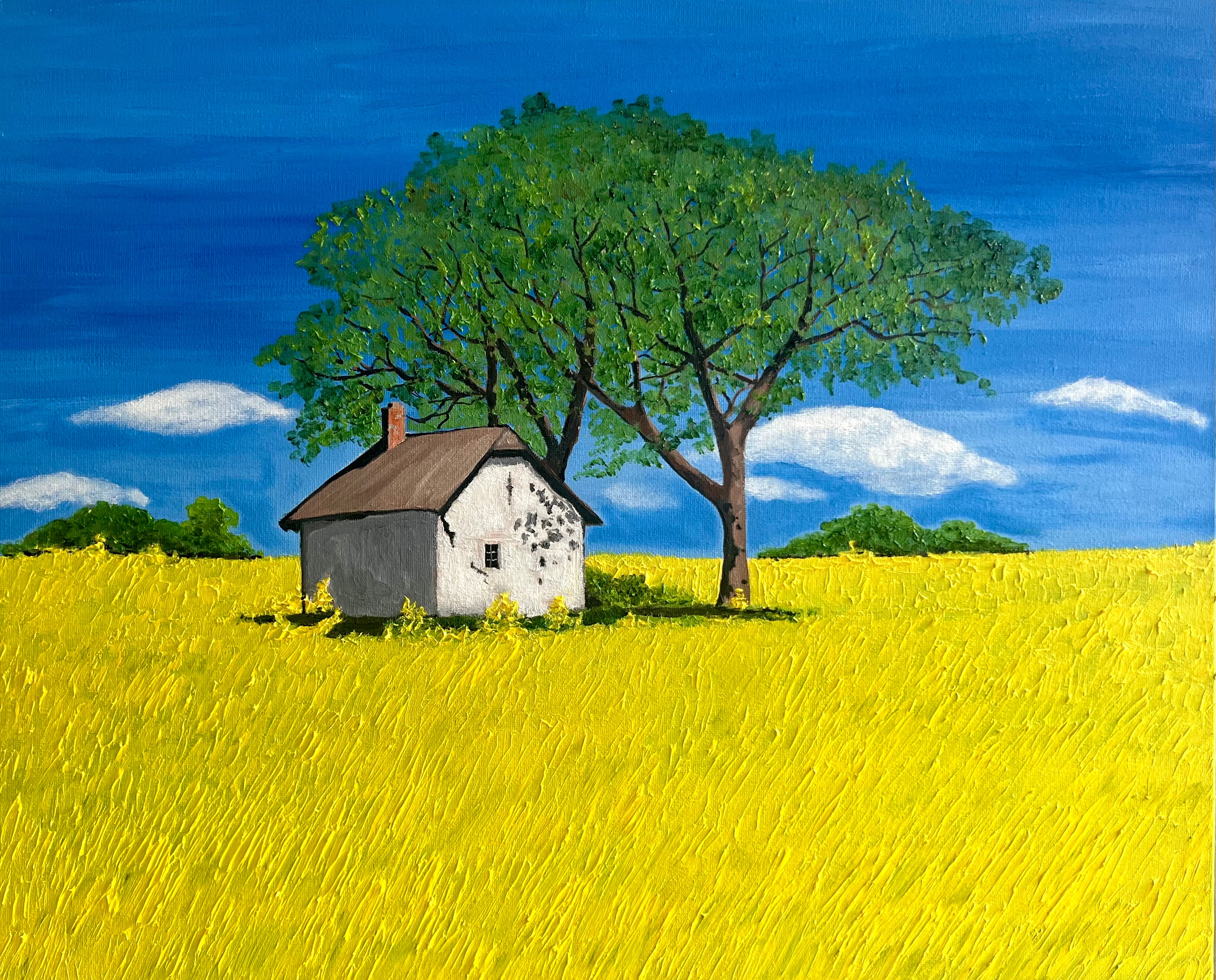 Old Cottage in the tape seed fields