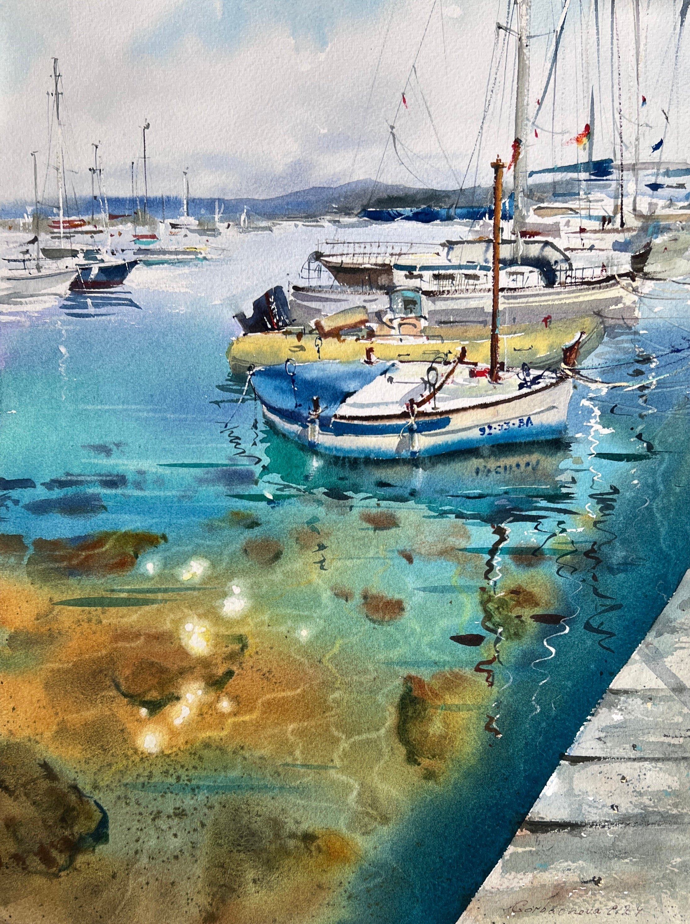 Yachts at anchor #20