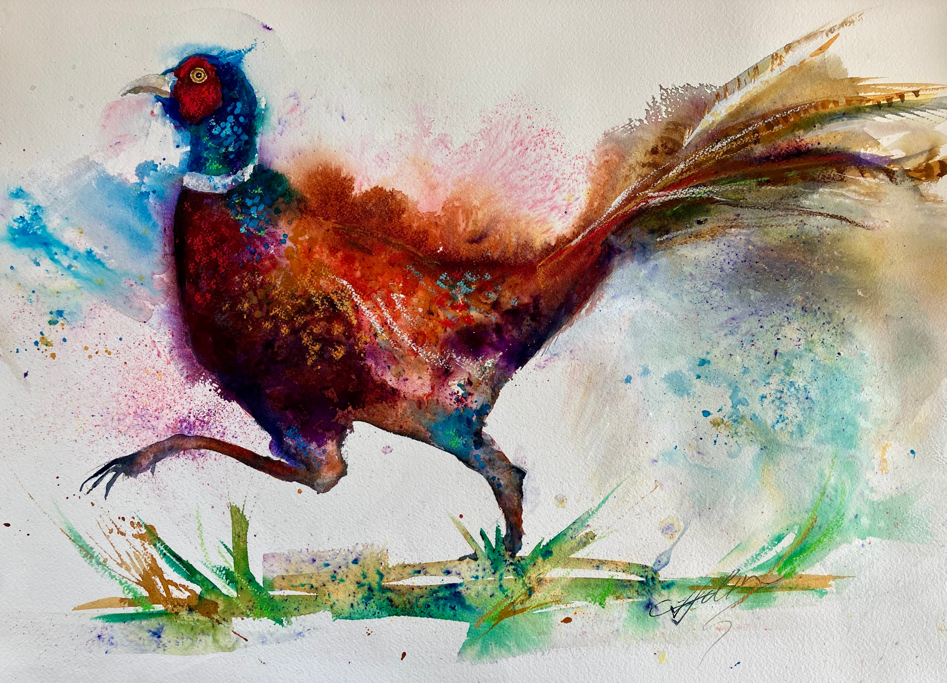Plucky!