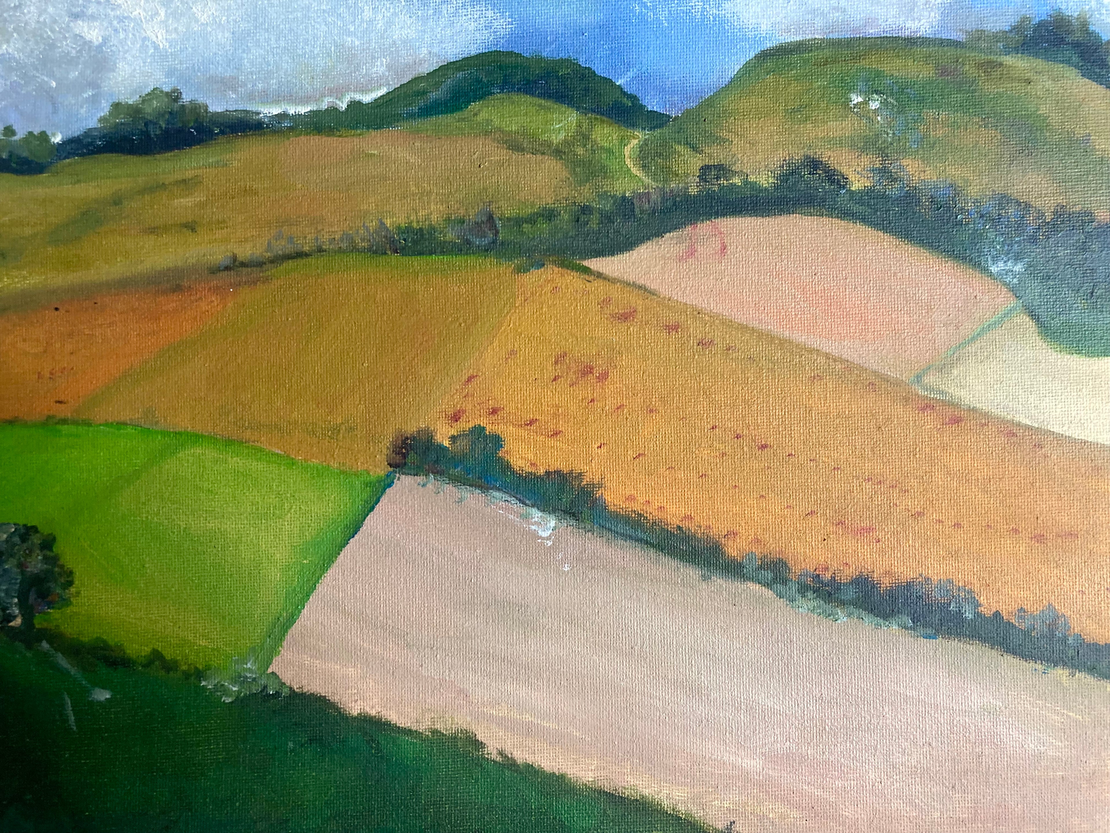 Fields in West Sussex
