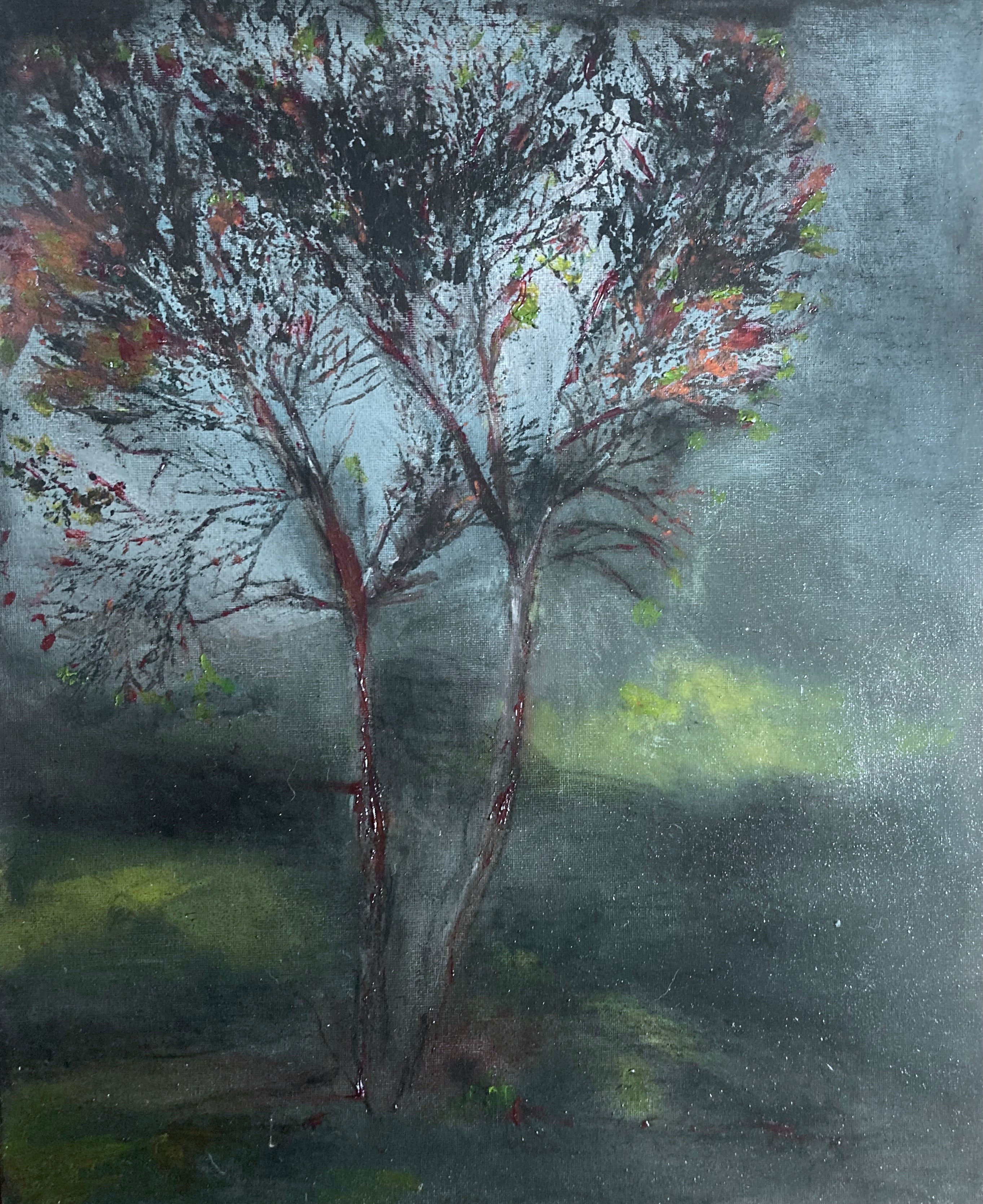 Shaded trees