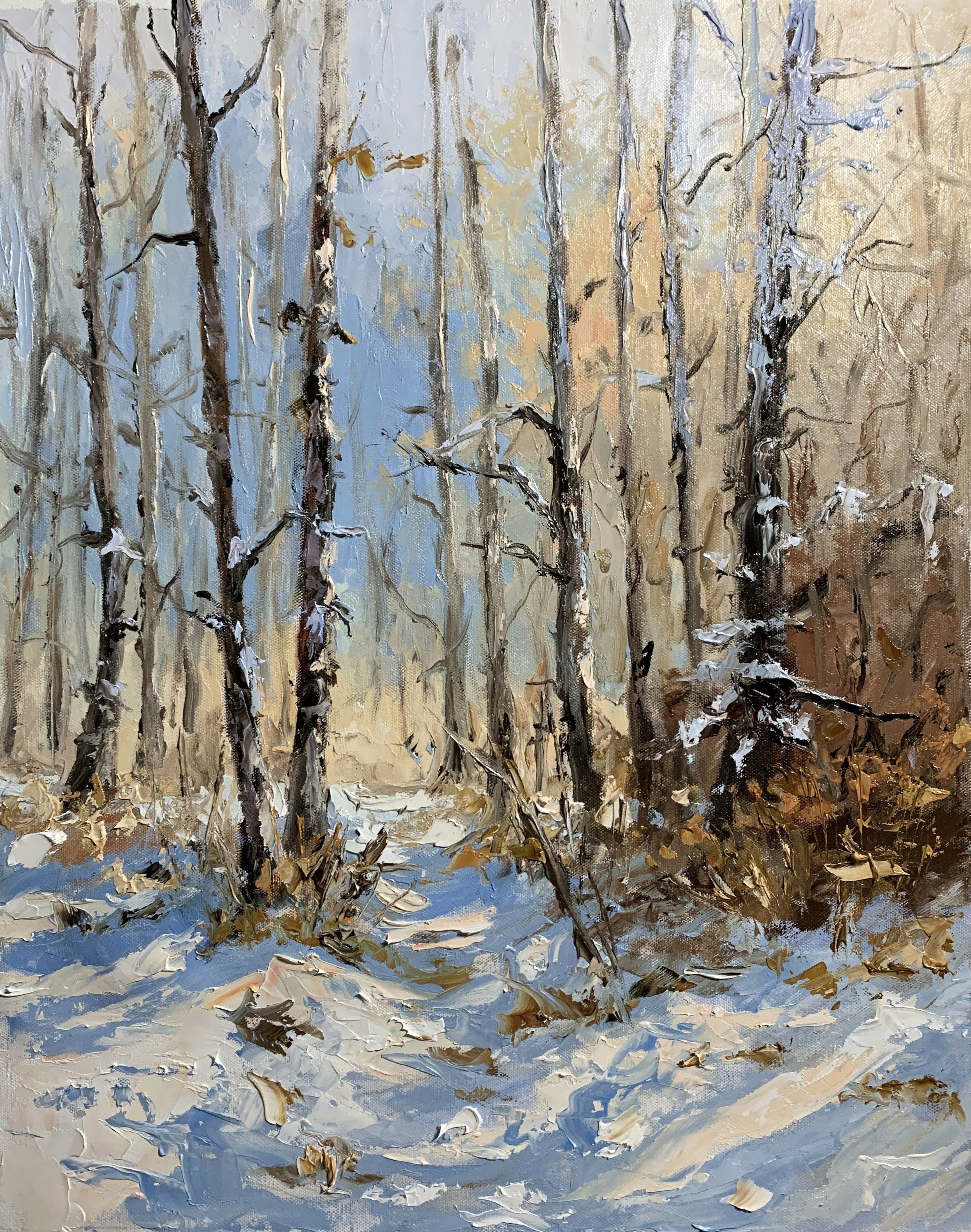 Winter light in the birchwoods.