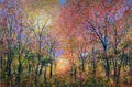 Autumnal Glow