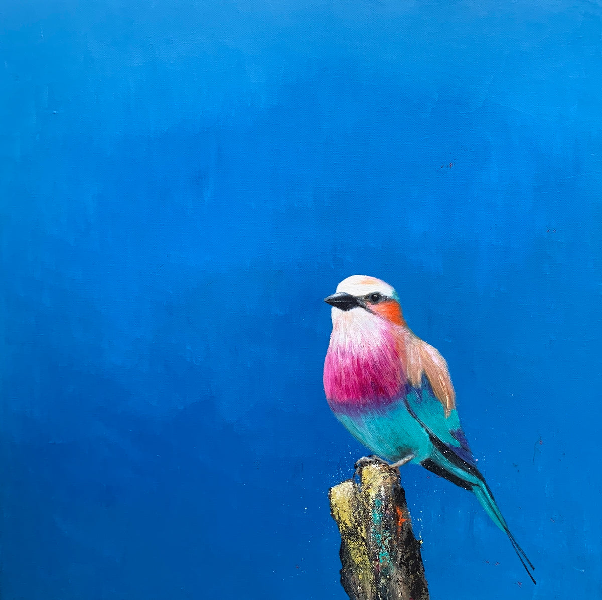 Lilac Breasted Roller Under An African Sun