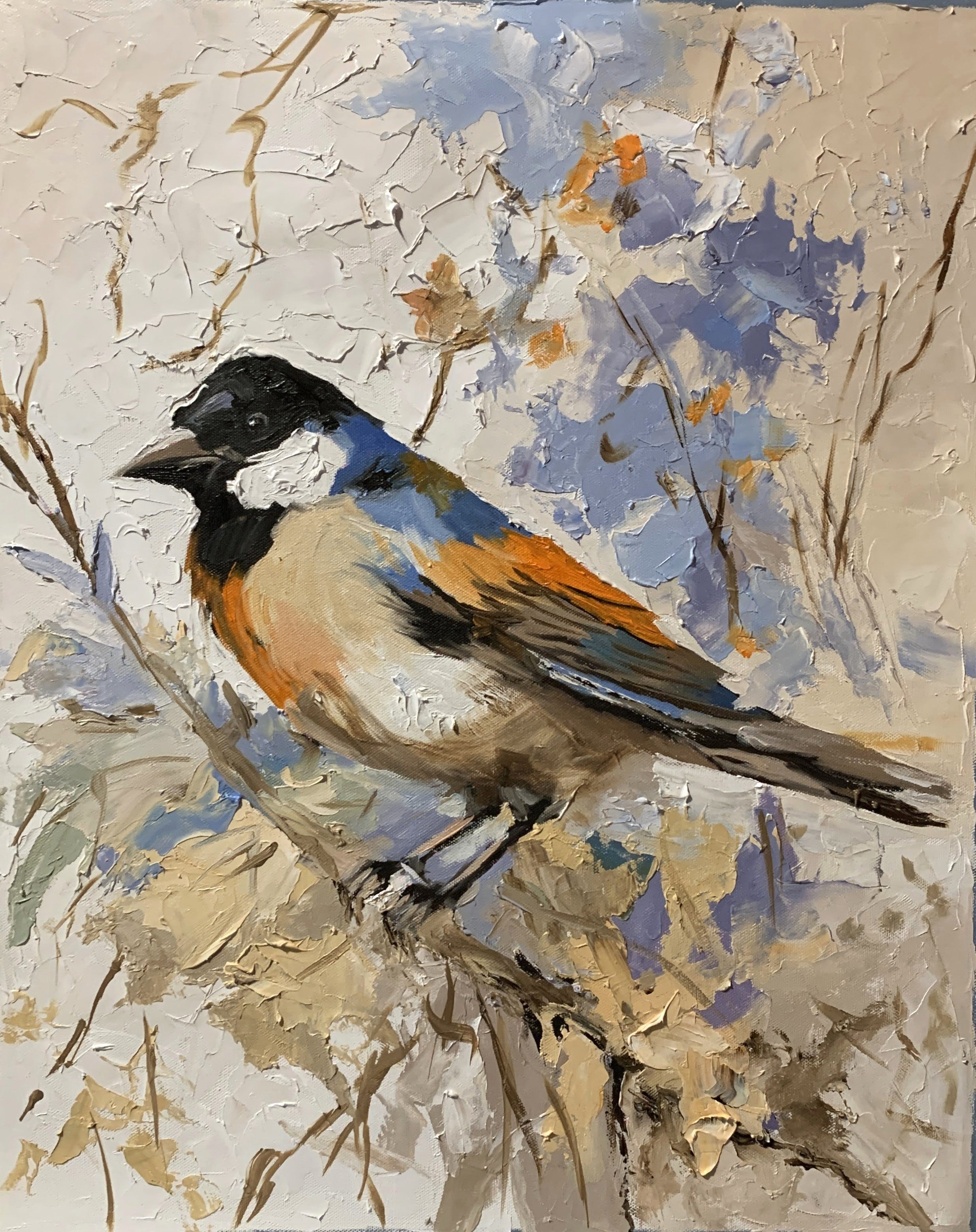Winter Guest. The Varied Tit.