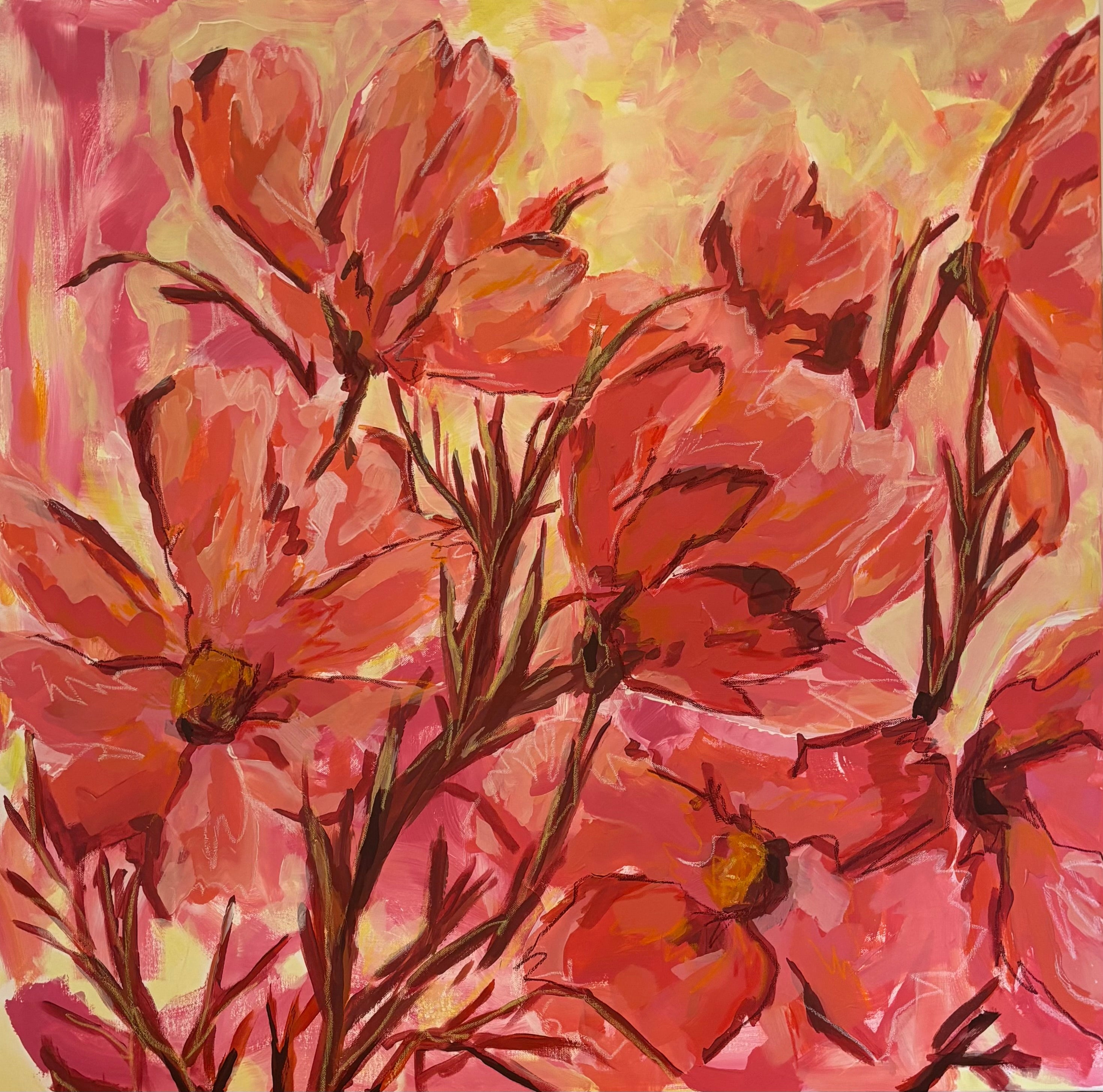 Cosmos Apricotta