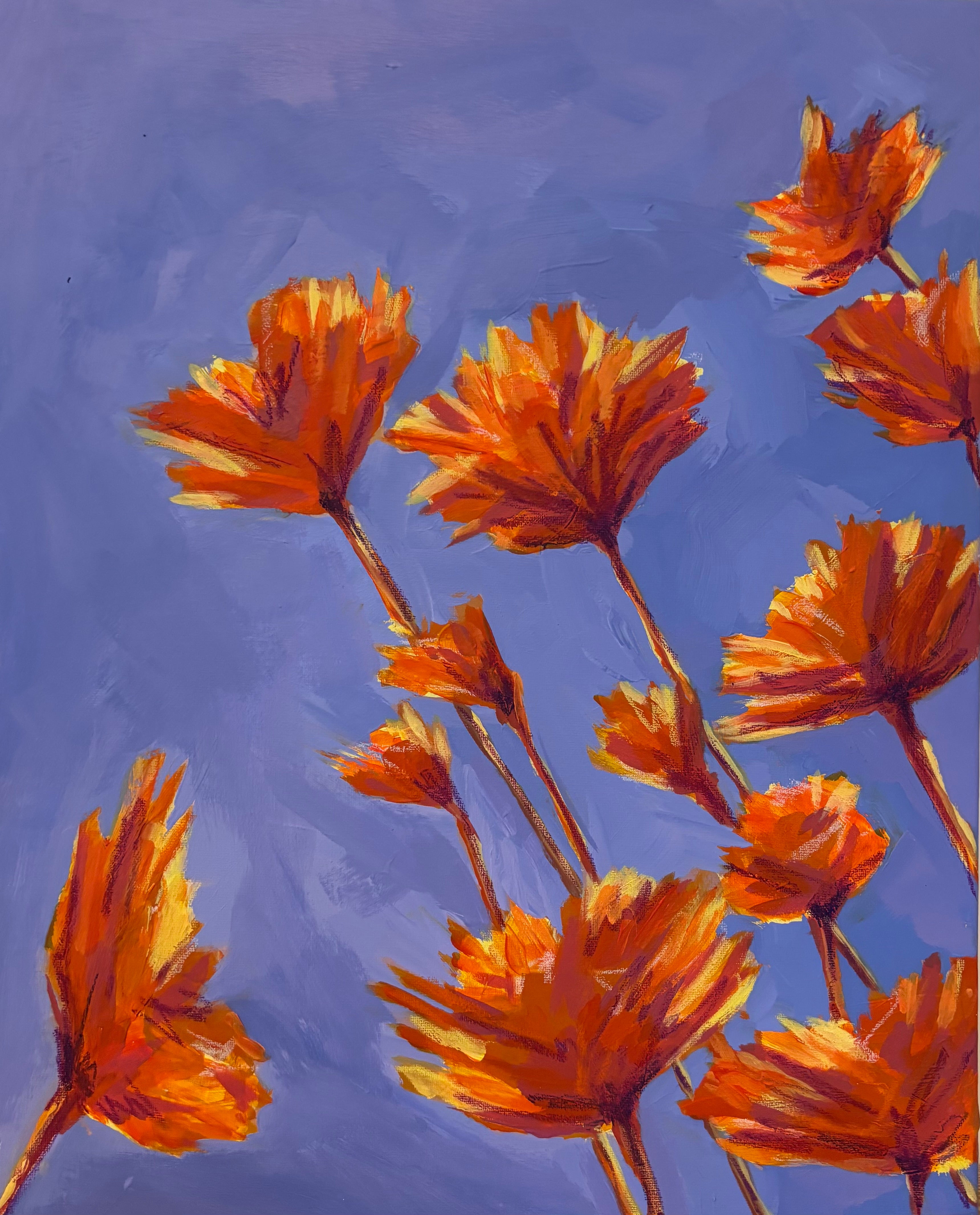 Sunlit Wildflowers