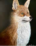 Vixen