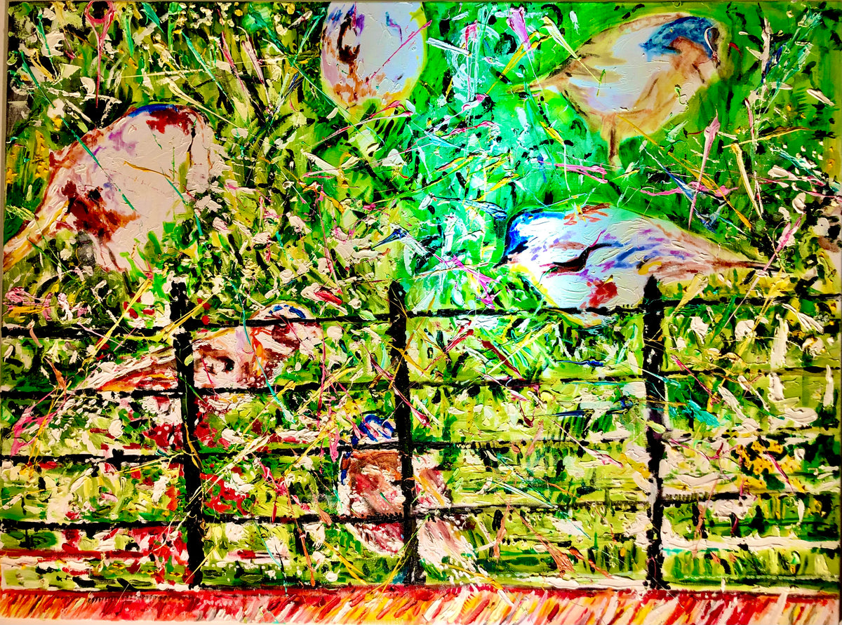 Dance of the Birds