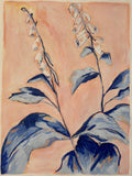 Foxgloves in Blue and Pink