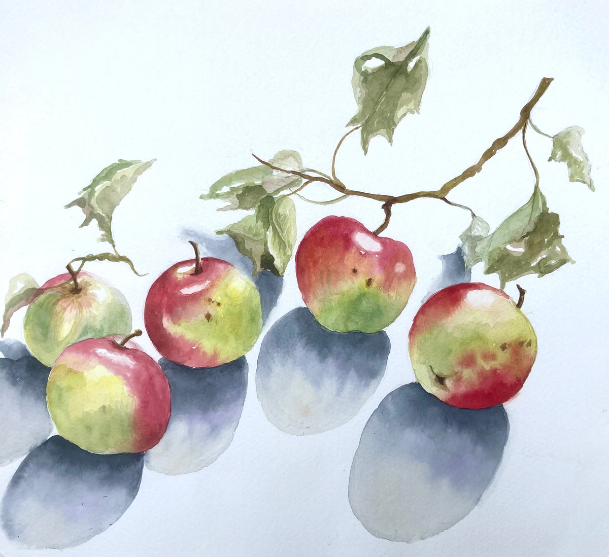 SHINY APPLES