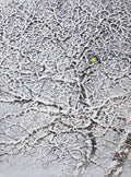 Snow Tree with Chickadee
