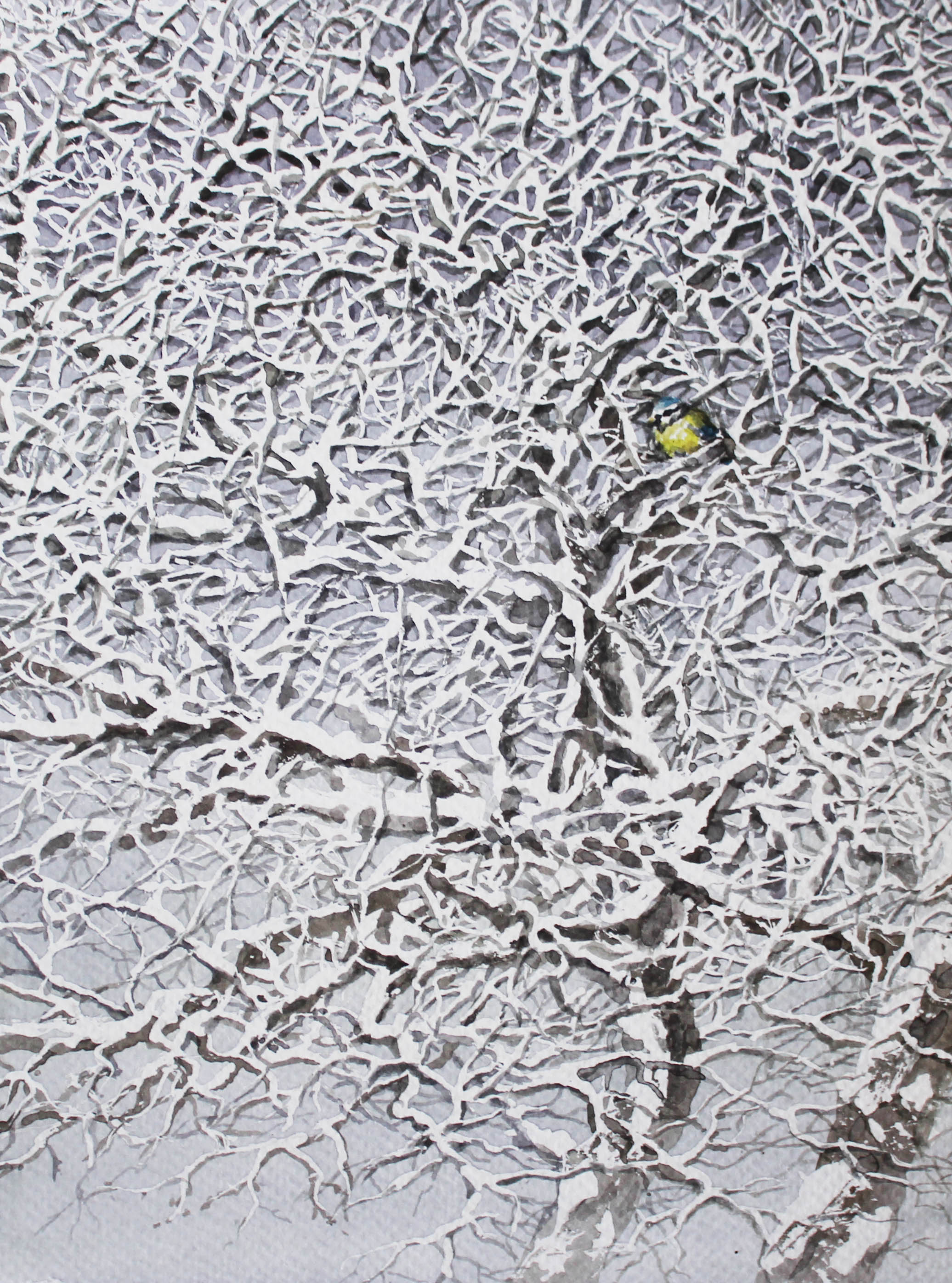 Snow Tree with Chickadee