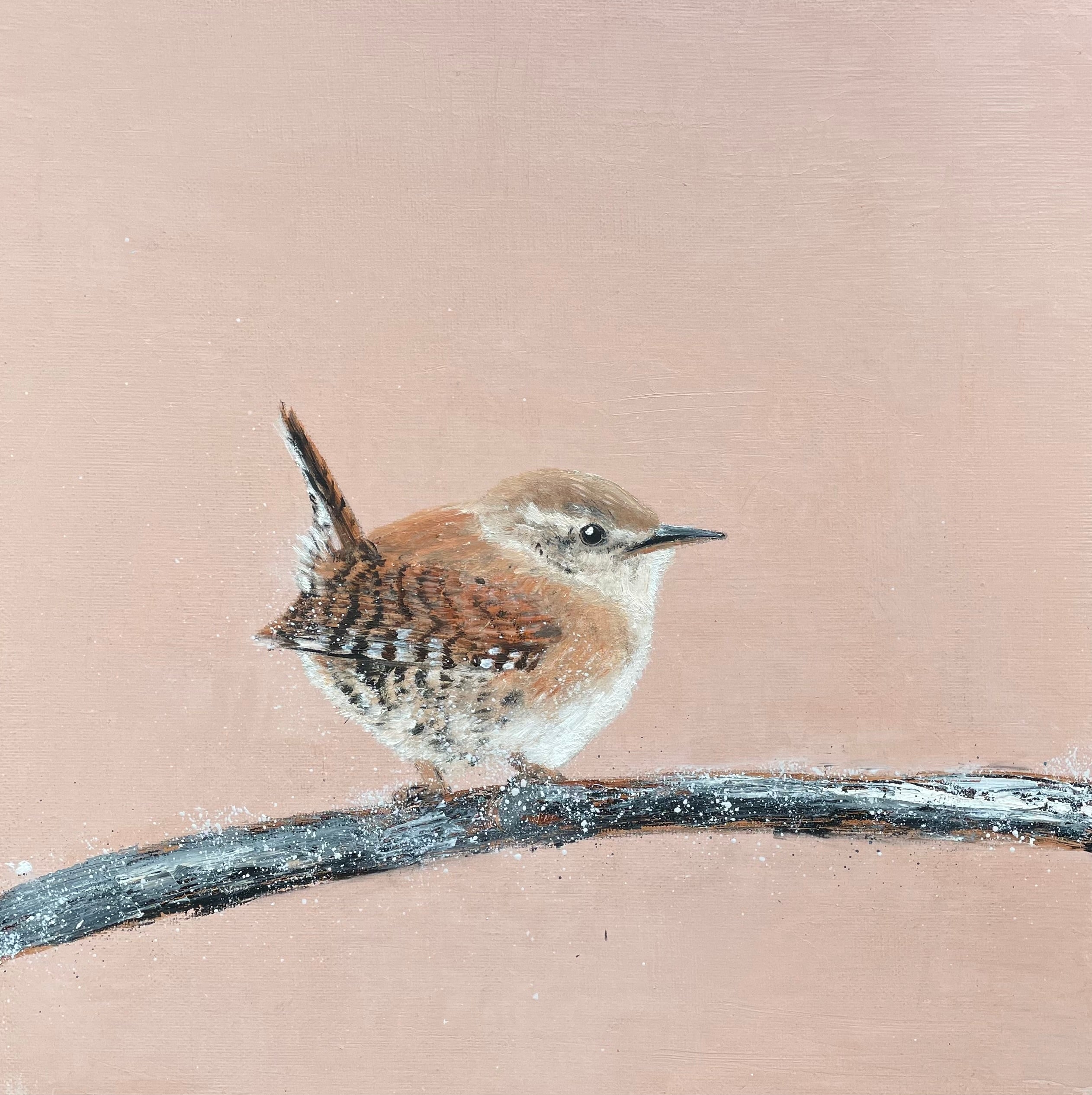 Jenny Wren