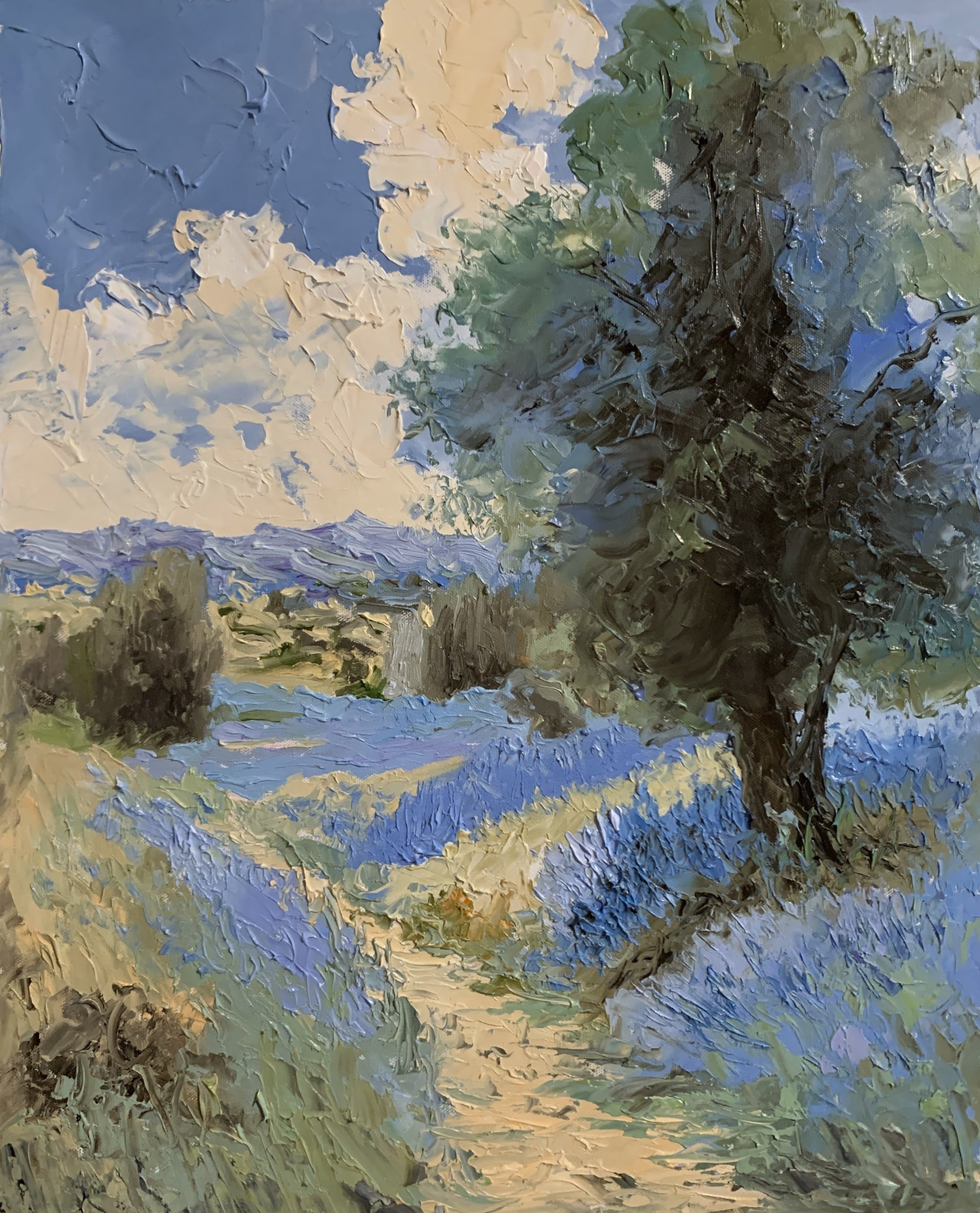 Lavender Field Landscape.