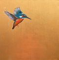Flight of The Kingfisher ~ on Gold