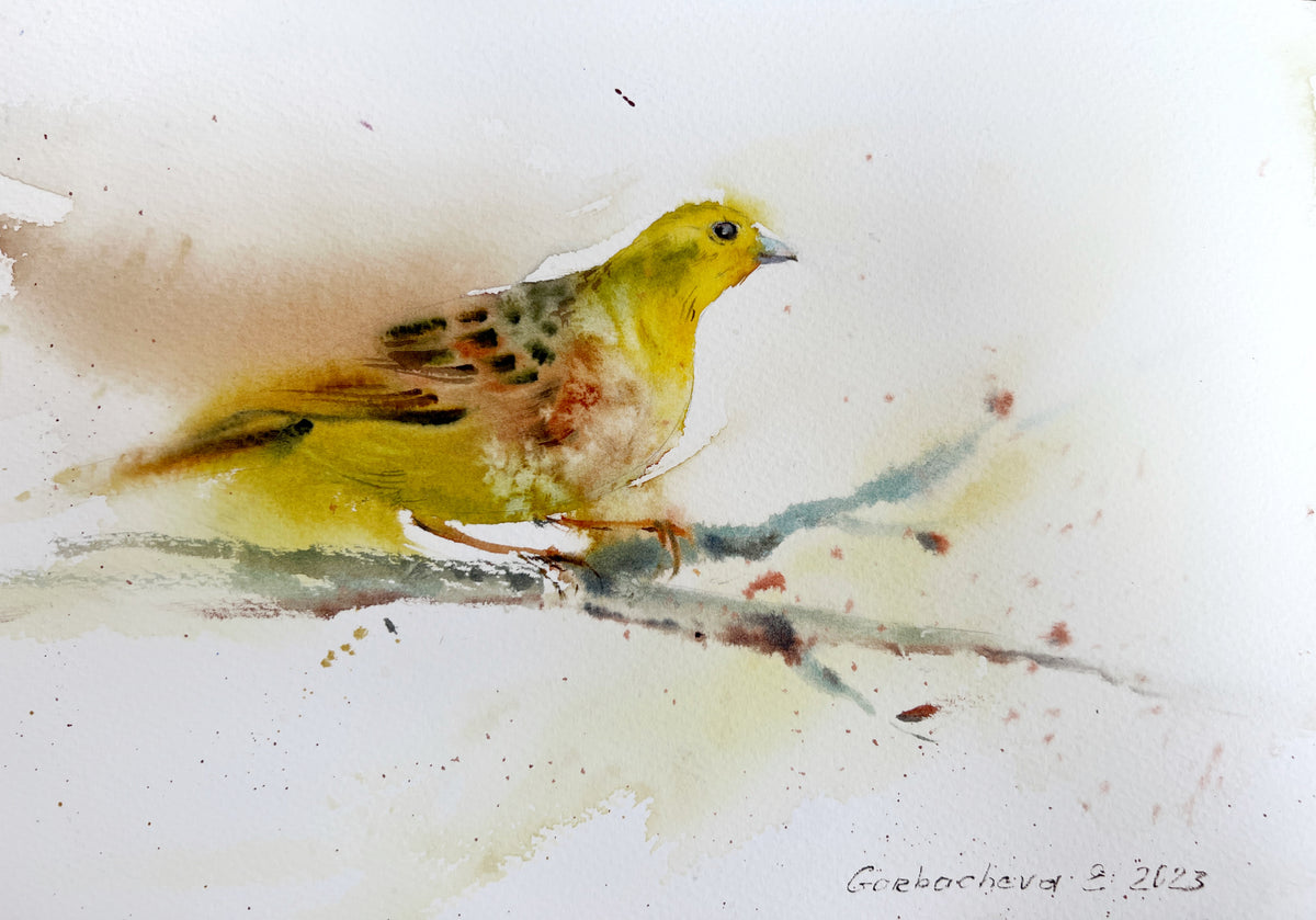 Little yellow bird