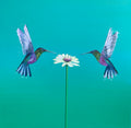 Two Hummingbirds ~ One Love