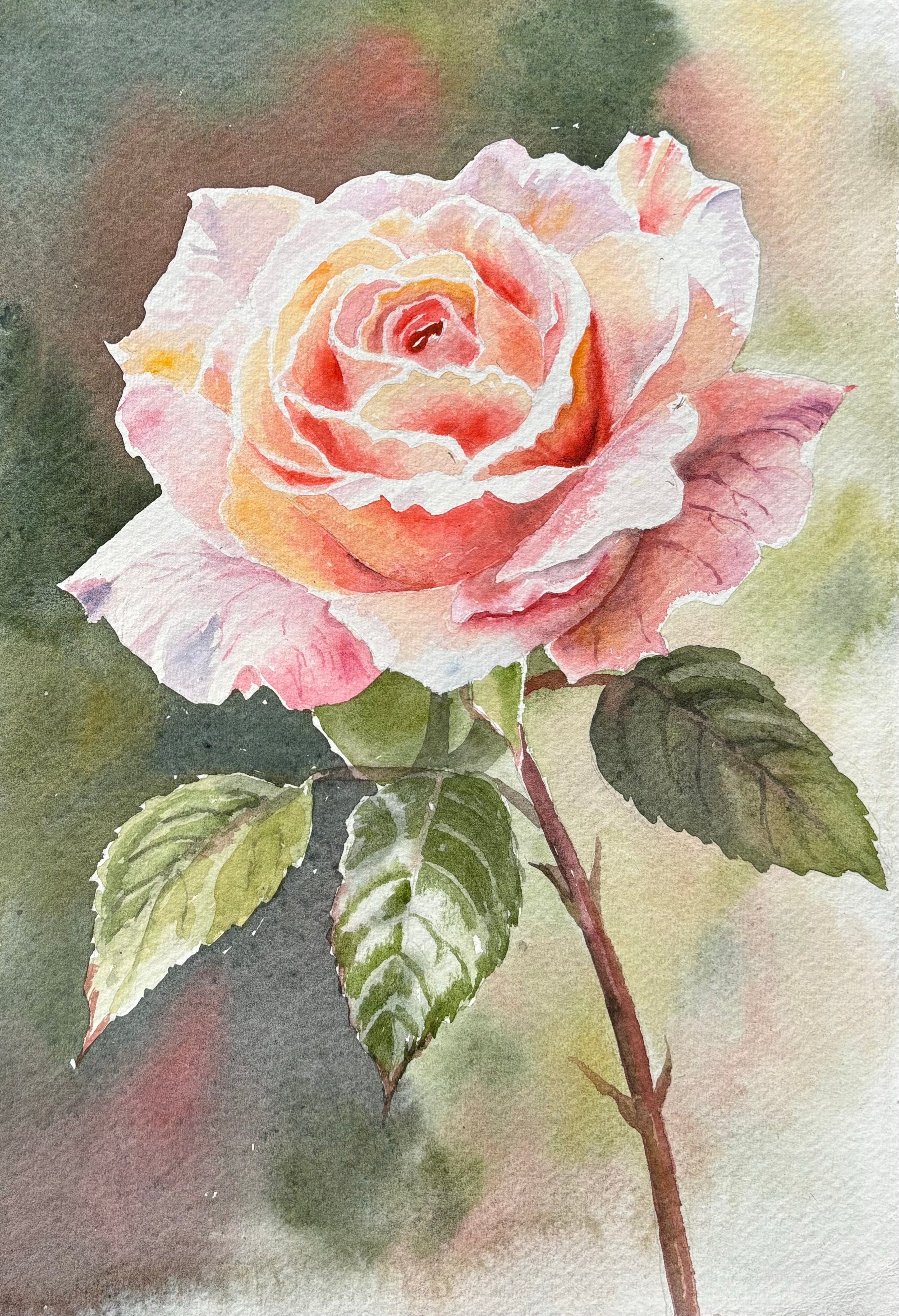 DELICATE PEACH ROSE