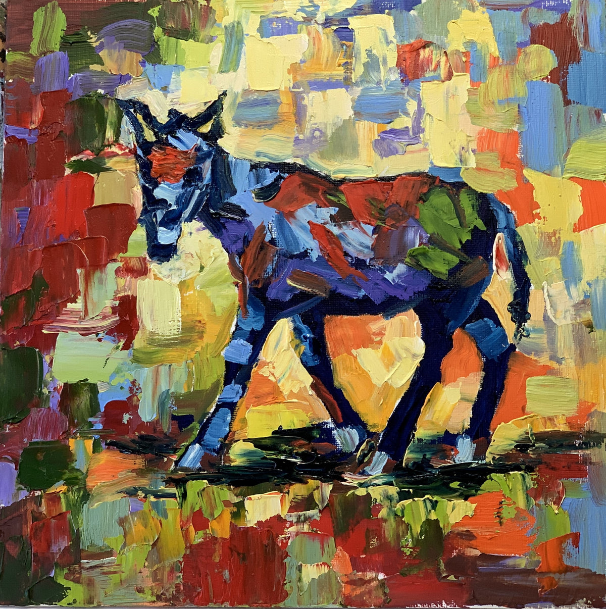 Little donkey