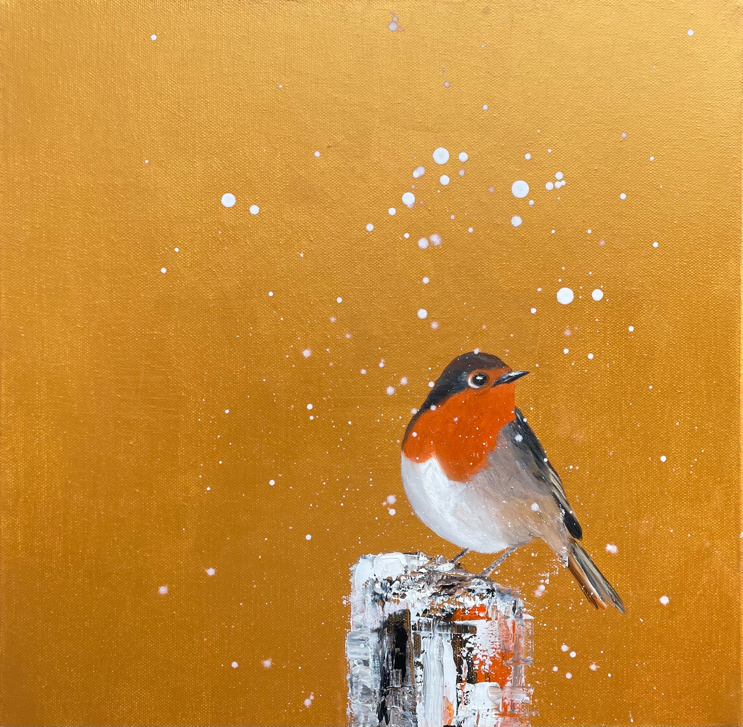 Red Robin In The Snow