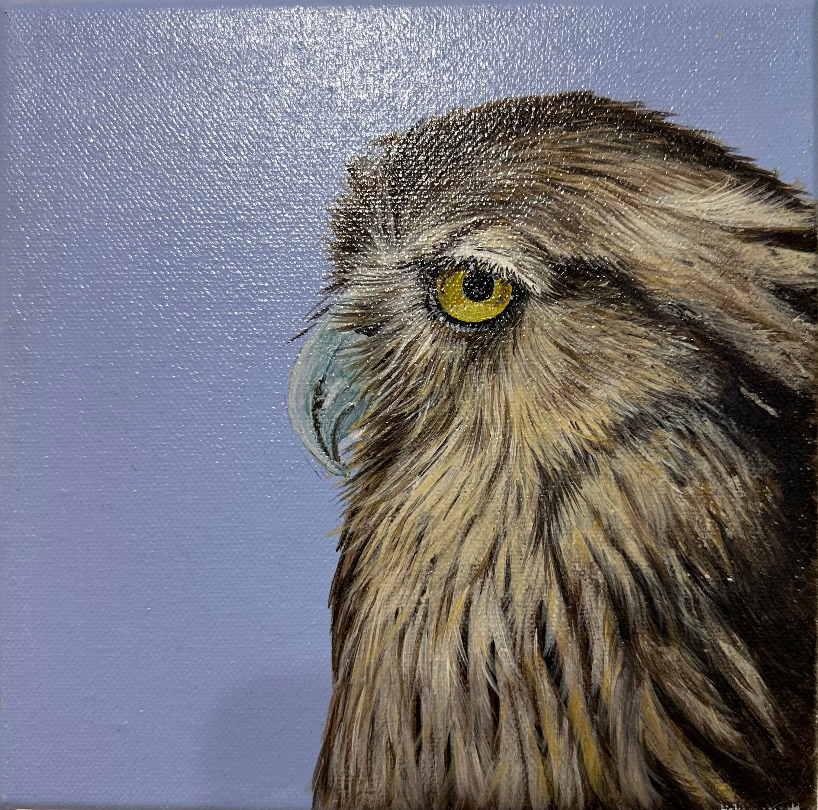Owl