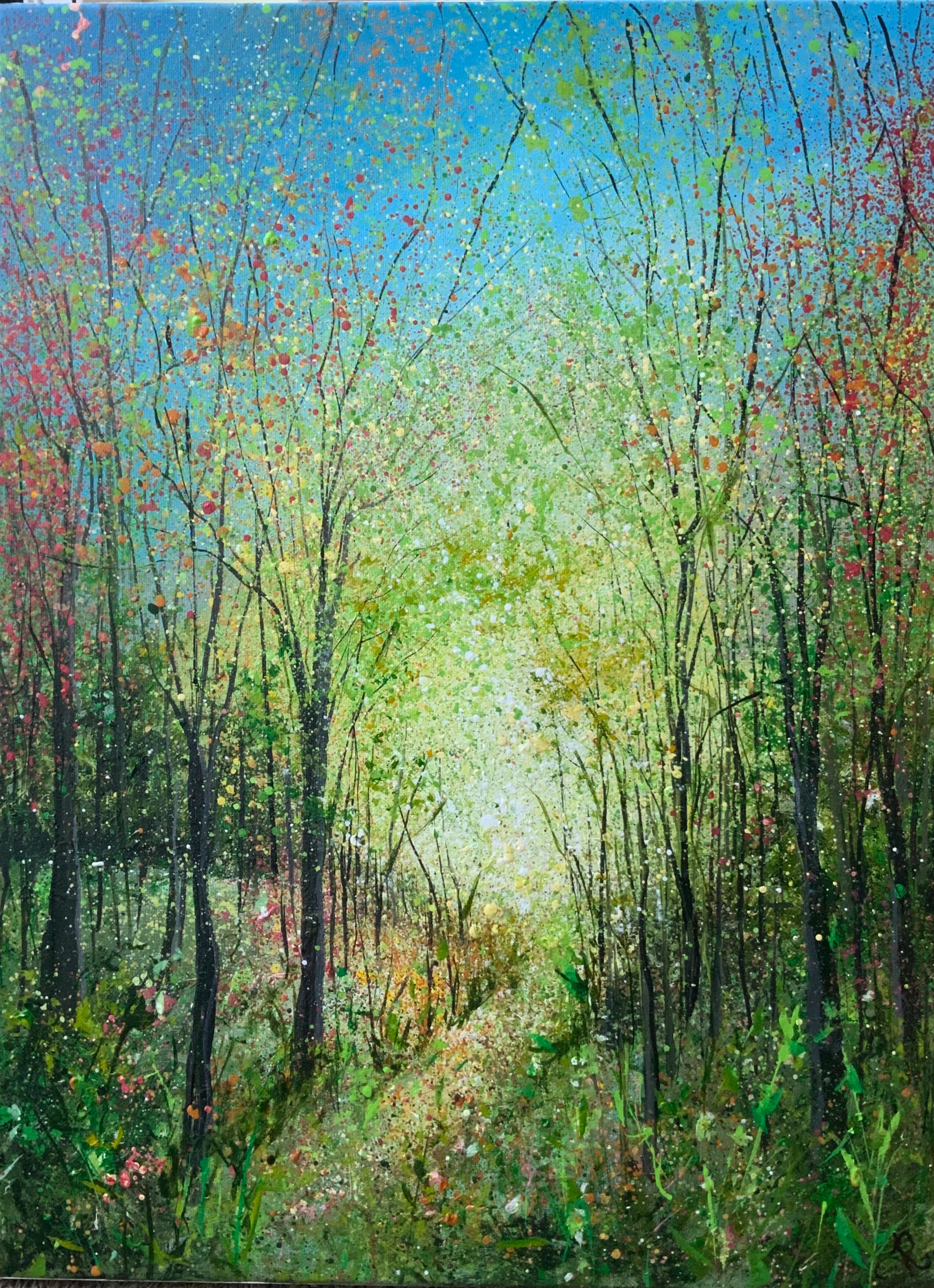 A Woodland Wander II