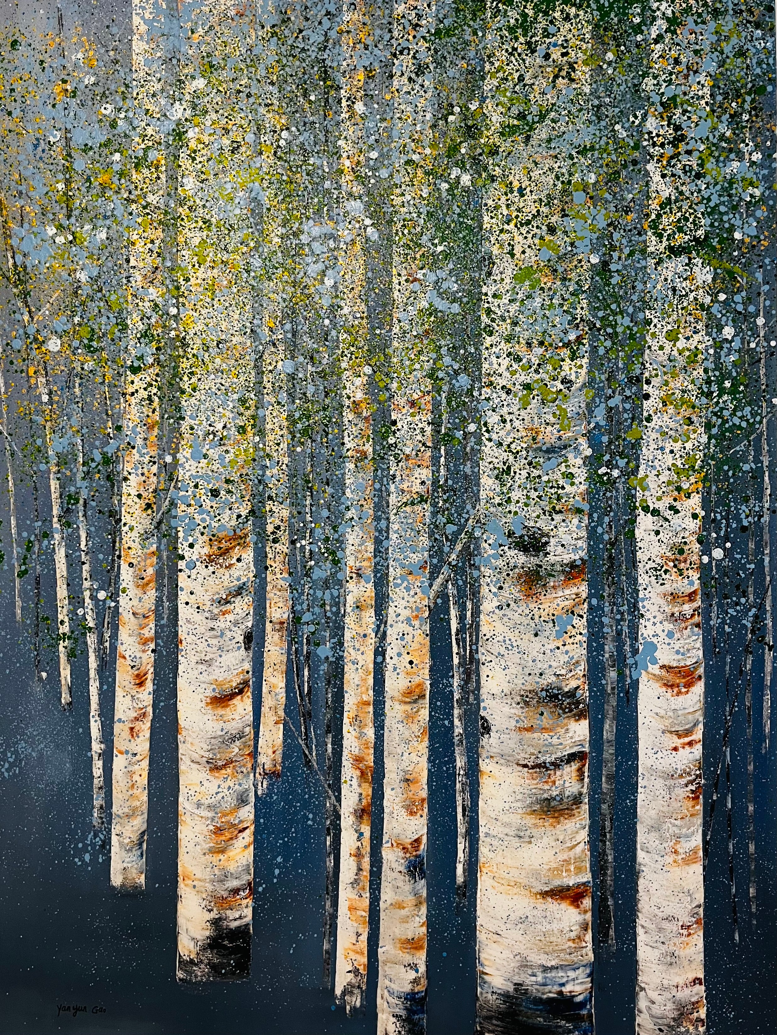 Whispers of the Birch wood