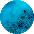 Round ocean #77