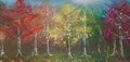 Autumn Splendor
