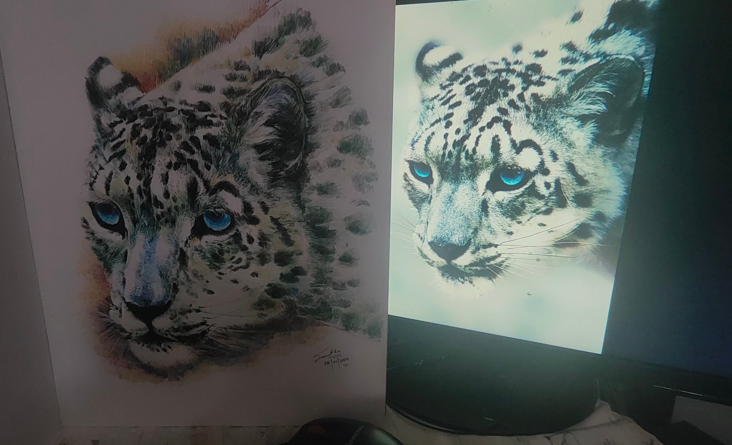 Snow leopard