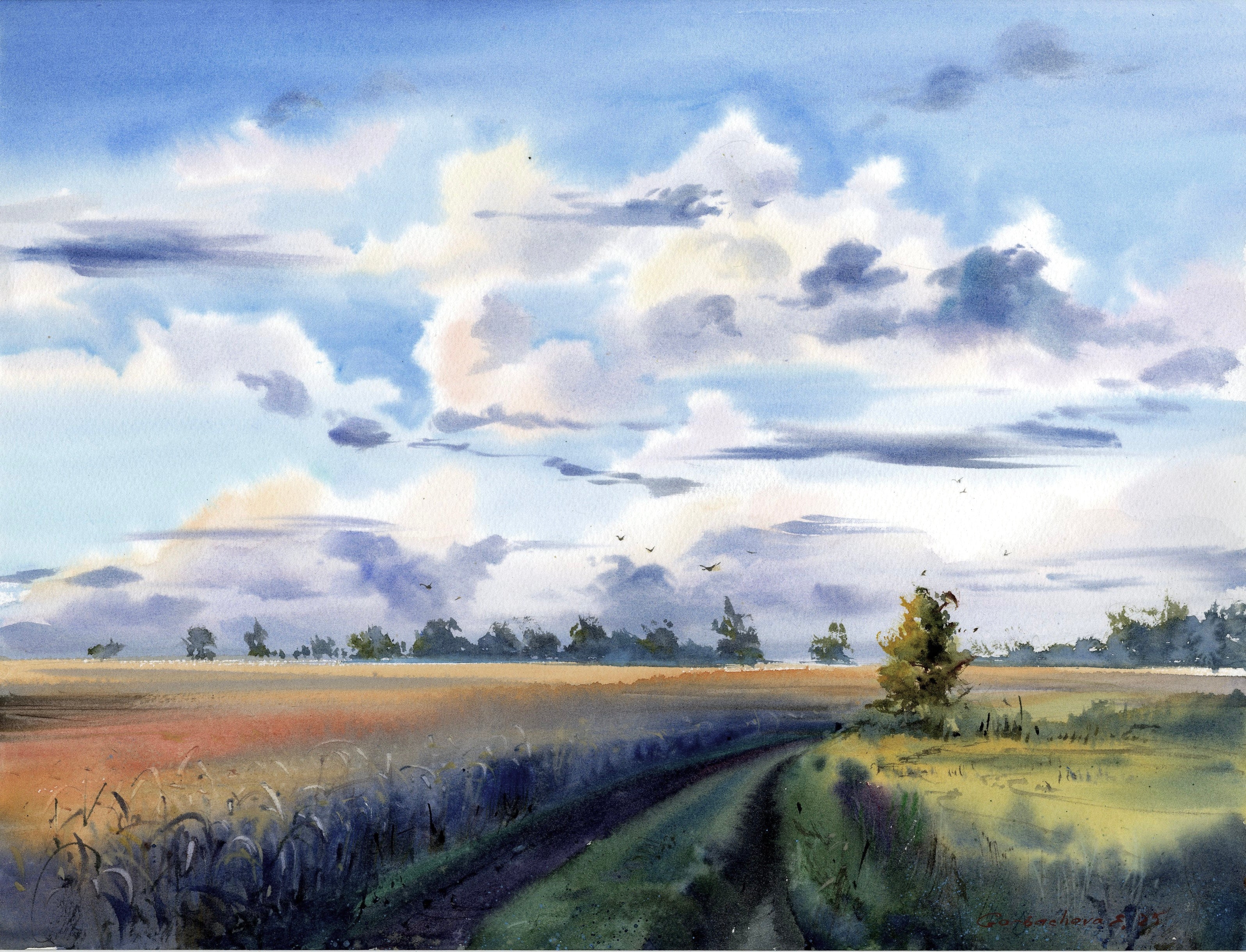 Silent Field Road