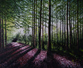 Towards Evening In The Forest